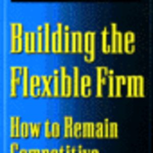 Building the Flexible Firm (1e druk 1999)