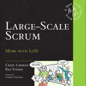 Large-Scale Scrum