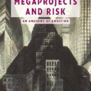 Megaprojects and Risk