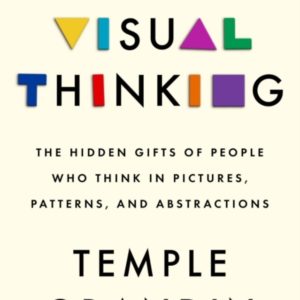 Visual Thinking