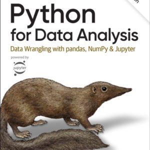 Python for Data Analysis