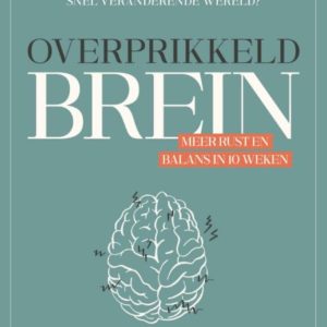 Overprikkeld Brein