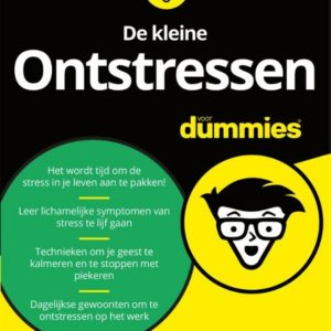 De kleine ontstressen voor Dummies