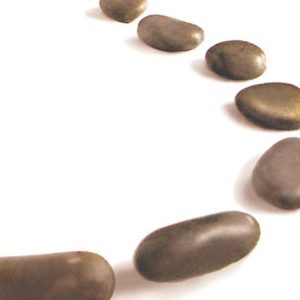 Mindfulness for the road - Nederlandstalig