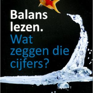 Balans lezen: wat zeggen de cijfers?