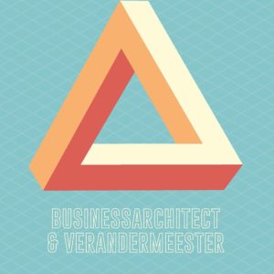 Businessarchitect & Verandermeester