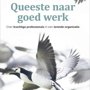 Queeste naar goed werk