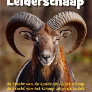Agile leiderschaap