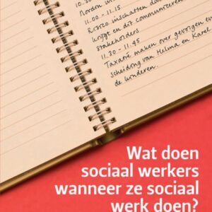Wat doen sociaal werkers wanneer ze sociaal werk doen?