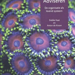 Systemisch adviseren