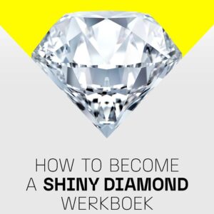 How to become a shiny diamond werkboek