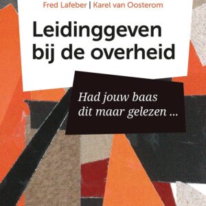 Leidinggeven bij de overheid
