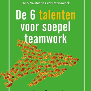 De 6 talenten voor teamwork