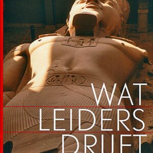 Wat leiders drijft