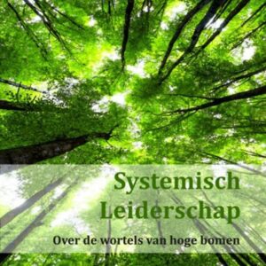 Systemisch Leiderschap